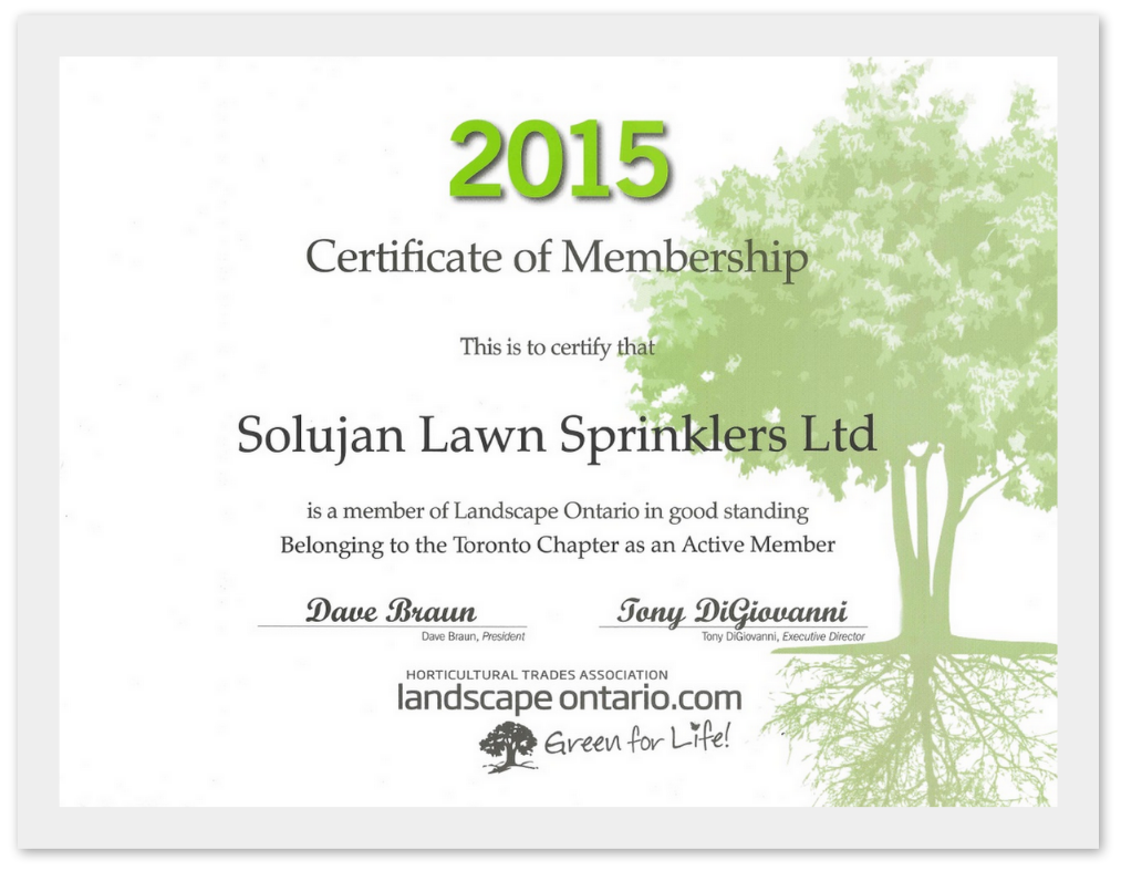 LO Certificate 2015