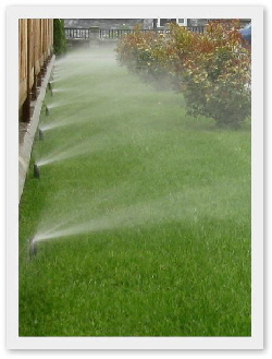 Sprinklers