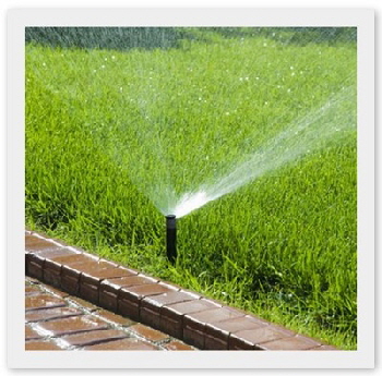 Sprinklers